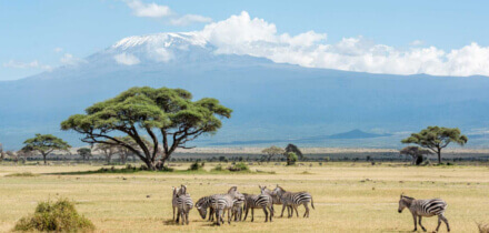 Visa requirements for Great Britain passport holders traveling to Kenyan